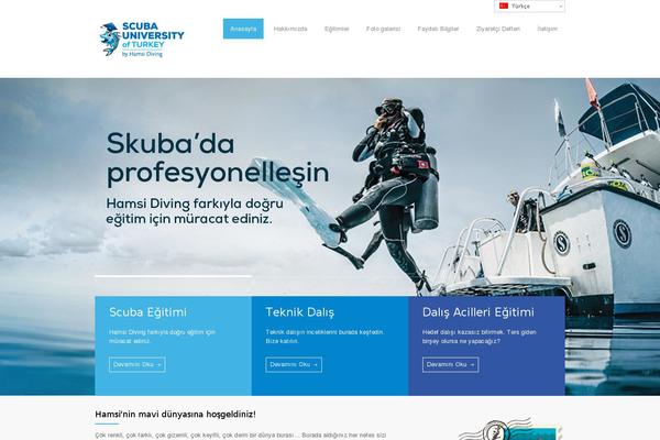 MediCenter theme site design template sample
