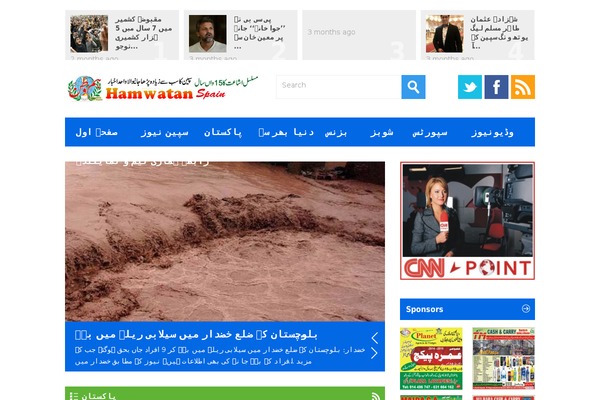 Local News theme site design template sample