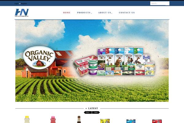 Fashion theme site design template sample