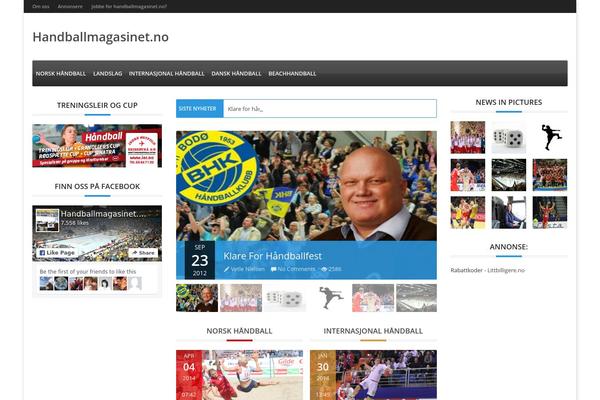 Adams theme site design template sample