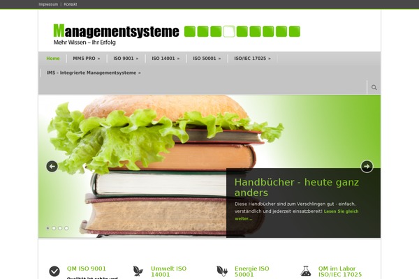 Modernize v3.13 theme site design template sample