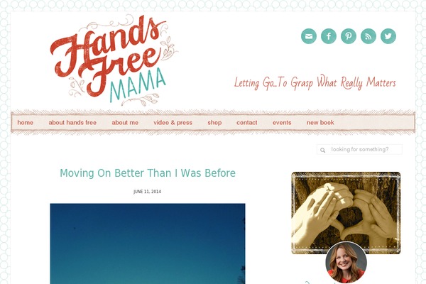 HFM theme websites examples