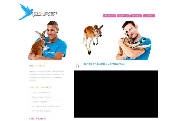 Acoustic theme site design template sample