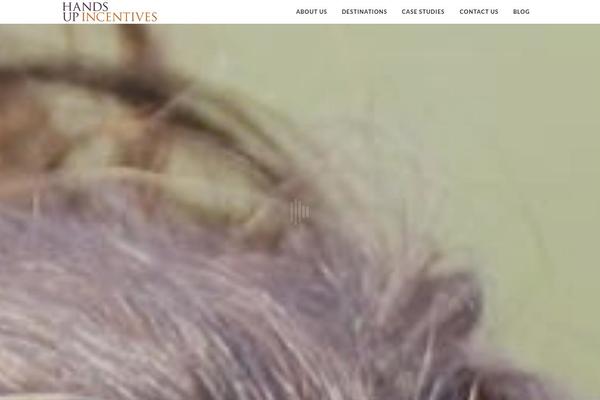 Bridge theme site design template sample
