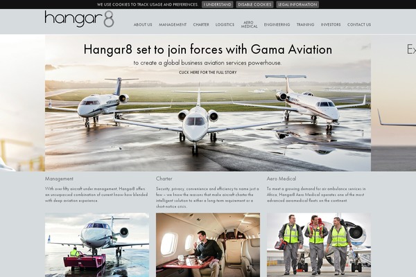 Site using The Social Links plugin