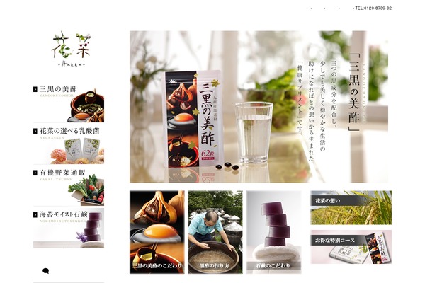 Hanna theme site design template sample