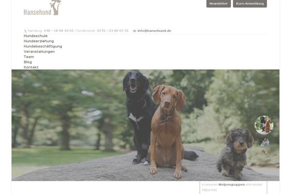 The7 theme site design template sample