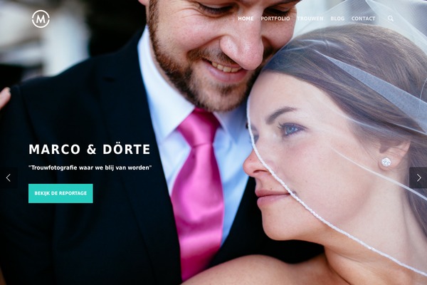 Salient theme site design template sample