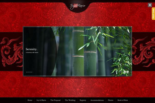 Site using Soundy Background Music plugin