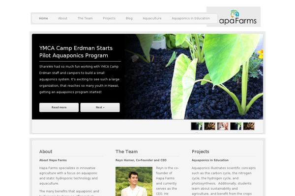 Twicet theme site design template sample