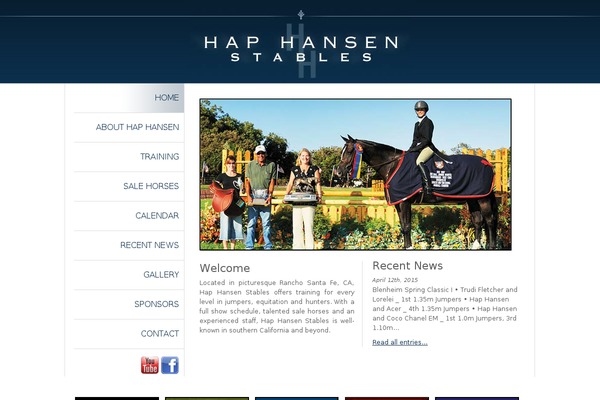 Hans theme site design template sample