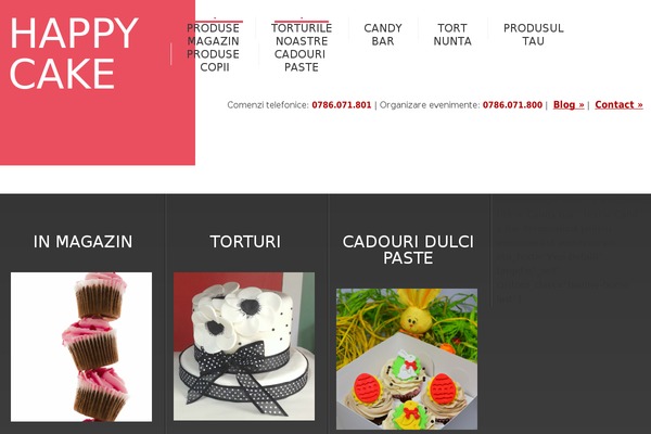 stelea theme websites examples