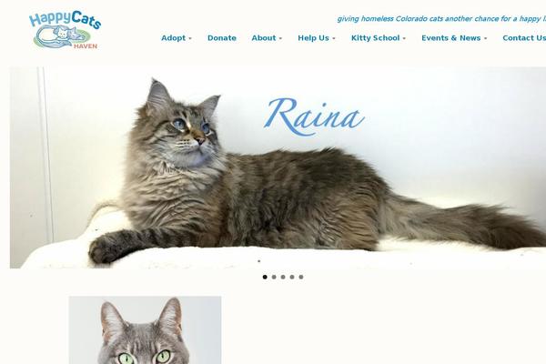 Risen theme site design template sample