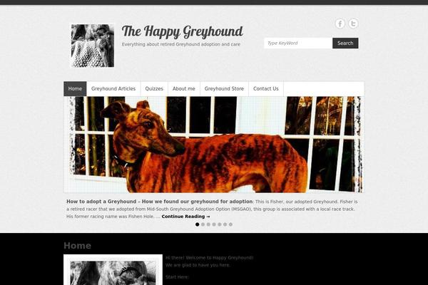 Simple Catch theme site design template sample