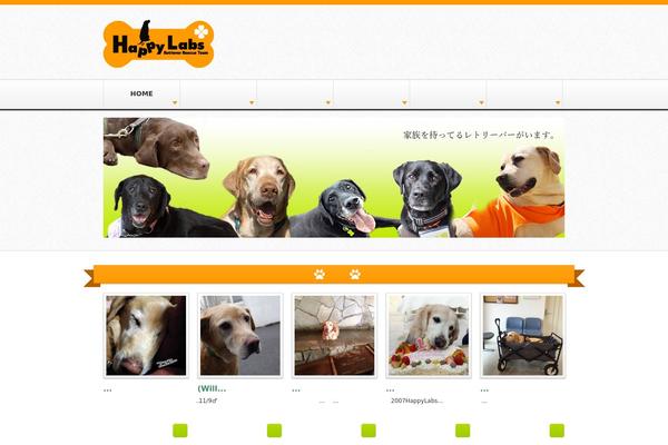 Site using Custom Google Plus Feed (google+) plugin
