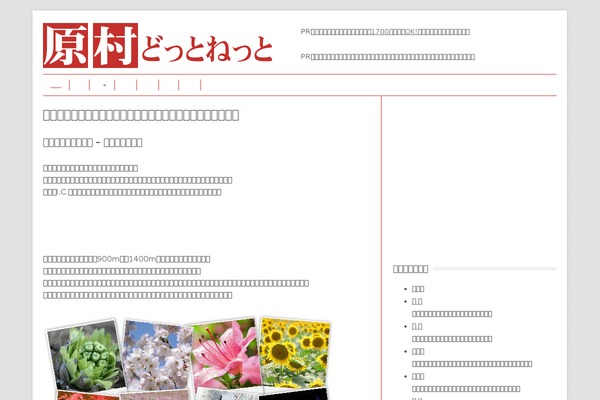 Lightning_child_sample theme site design template sample