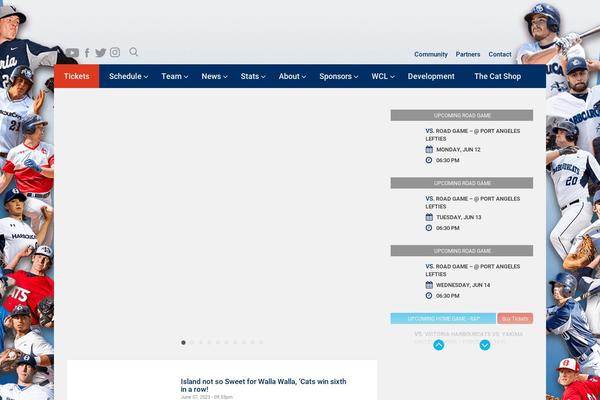 Site using WordPress Countdown Widget plugin