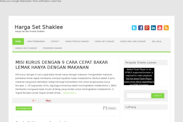 Iconic One Pro theme site design template sample