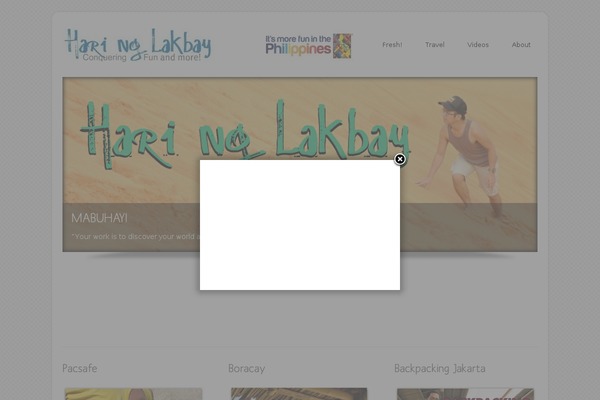 Dzonia Lite theme site design template sample