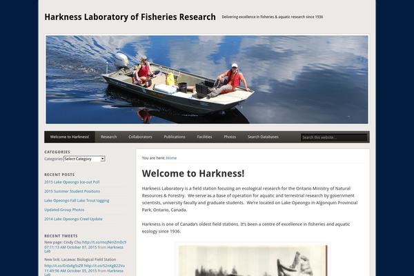 Tiny Framework theme site design template sample