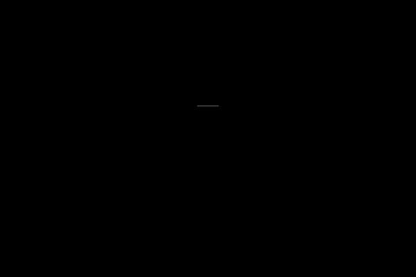 Site using Wp-car-manager plugin