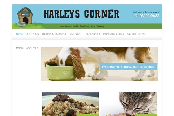 Attitude theme site design template sample