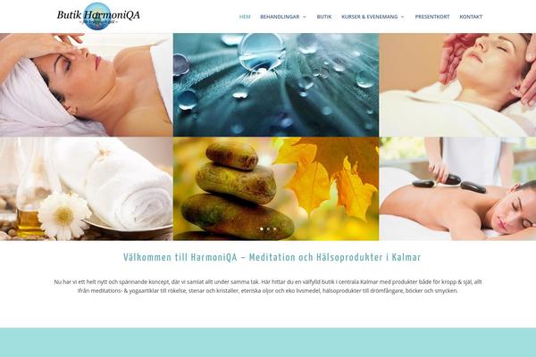 Divi-child-theme theme site design template sample