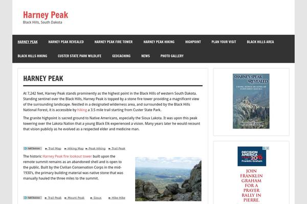Dynamic News Lite theme site design template sample