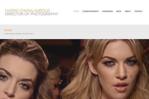 Berg theme site design template sample