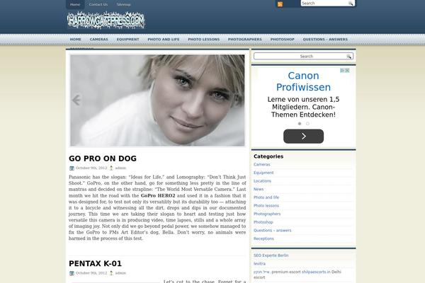 Solistica theme websites examples