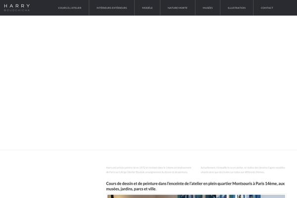 Site using X-email-mailchimp plugin
