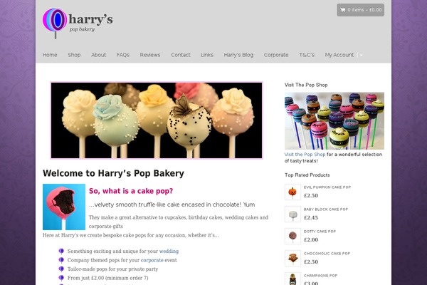Sommerce theme site design template sample