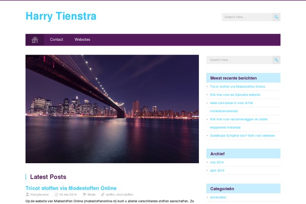 MidnightCity theme site design template sample