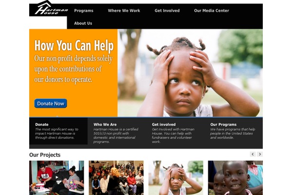Pitch theme site design template sample