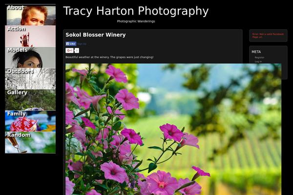 Picture Perfect theme site design template sample
