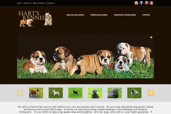 Socialite theme site design template sample
