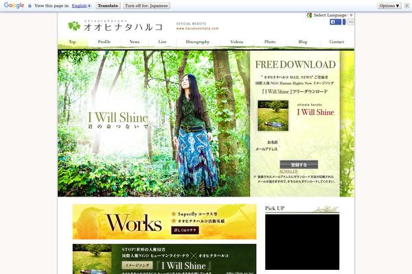 Custom theme site design template sample