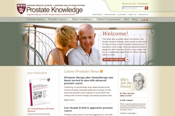 HPK theme websites examples