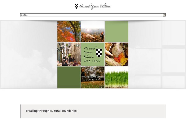 Site using Google Custom Search plugin