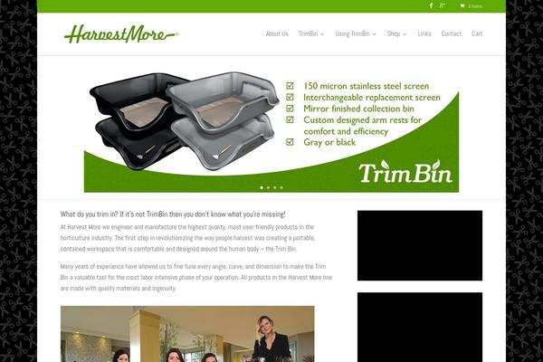 Divi theme site design template sample