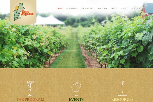 Thesis 1.8.5 theme site design template sample