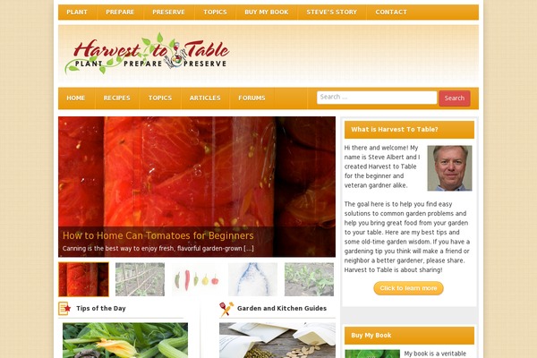 Site using Ad-ace plugin