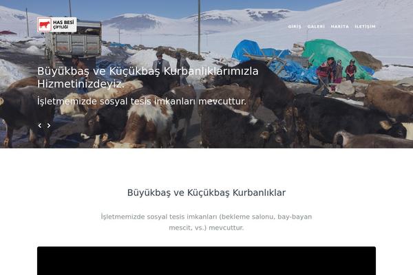 Swagger theme site design template sample