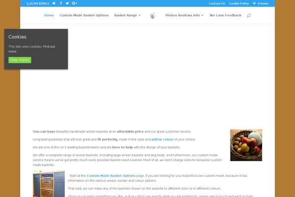 Divichild theme site design template sample