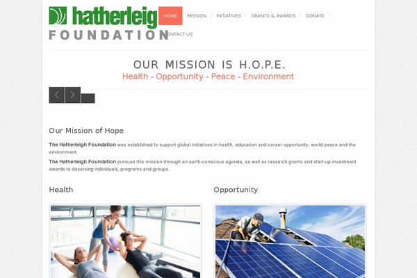 brandinclusive theme websites examples