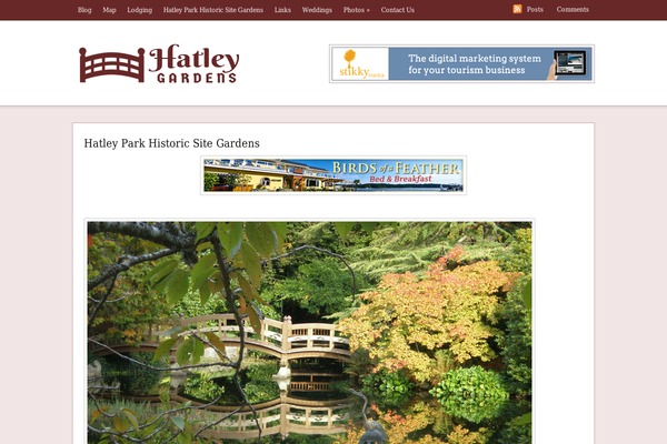 Postcard theme site design template sample