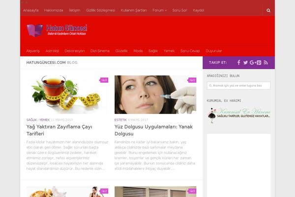 Hueman Child theme site design template sample