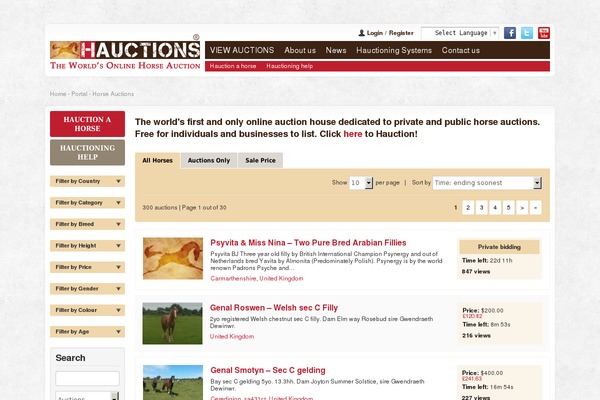hauctions.net site used Chameleon