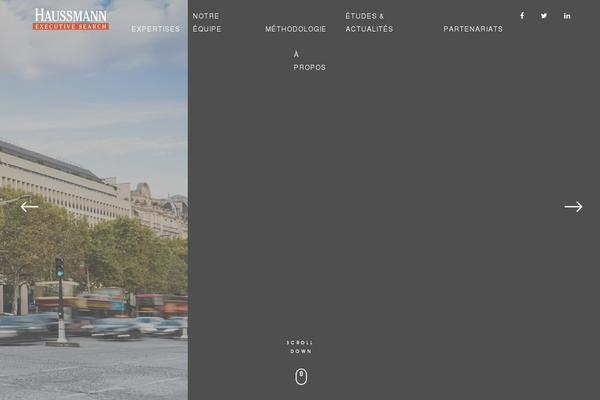 Virgo theme site design template sample