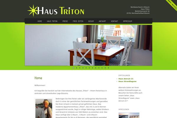 Triton theme site design template sample